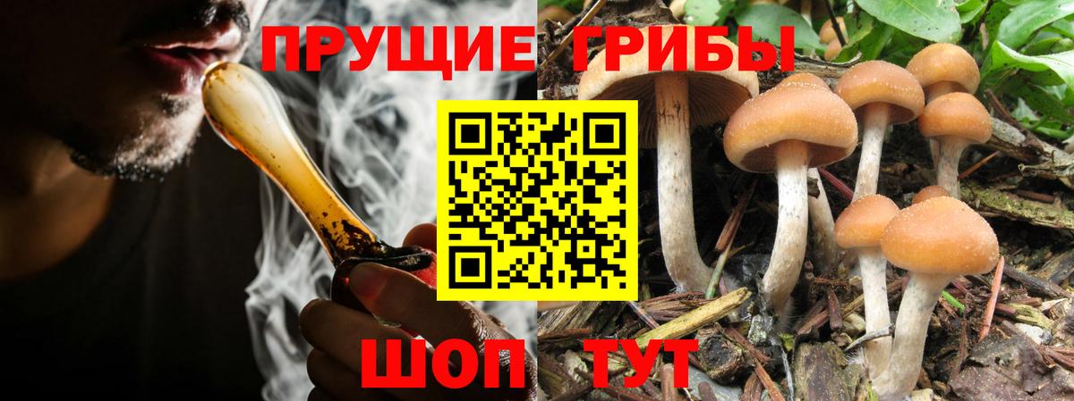 Псилоцибиновые грибы Psilocybine cubensis  Псилоцибиновые грибы мухоморы  Щёлково  Вход с VPN 